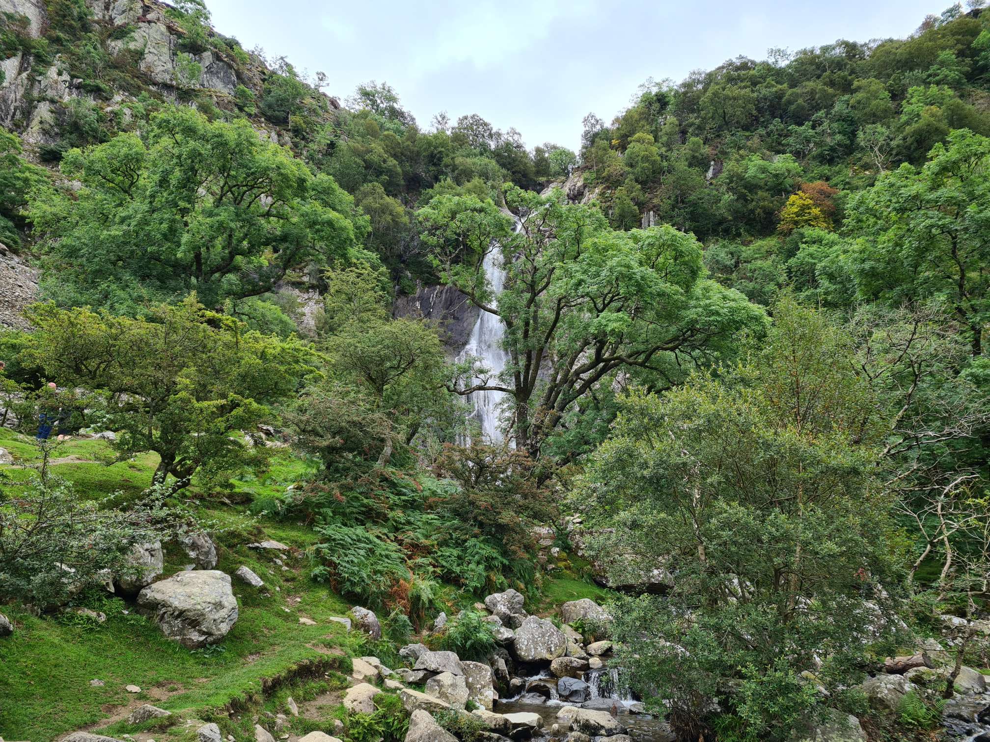 Aber Falls in late spring