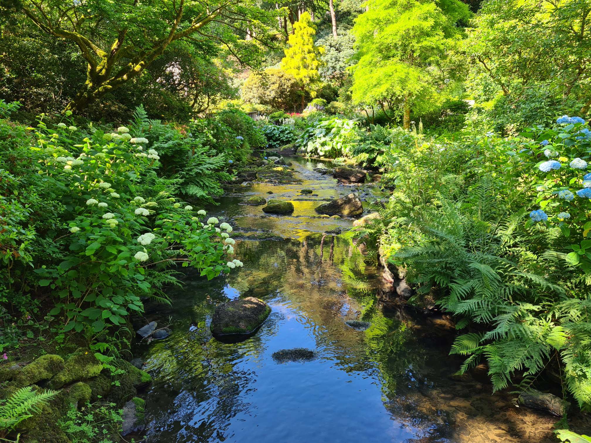 Bodnant Garden Valley stream