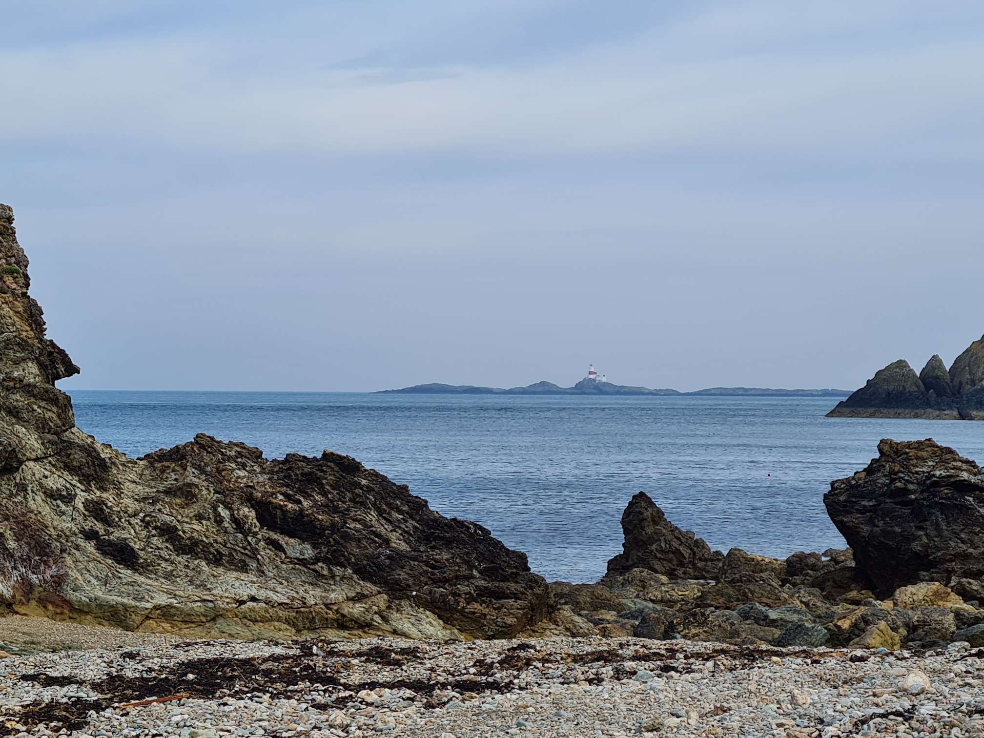 The Skerries from Ynys y Fydlyn