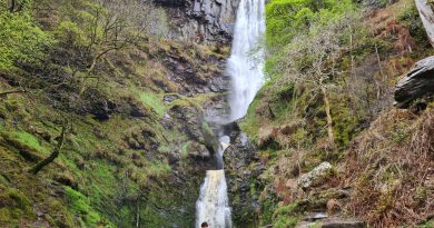 The image shows the full height of the waterfall Pistyll Raeadr