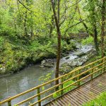 A picture of a walkway beside the river the flows through the dingle nature reserve.