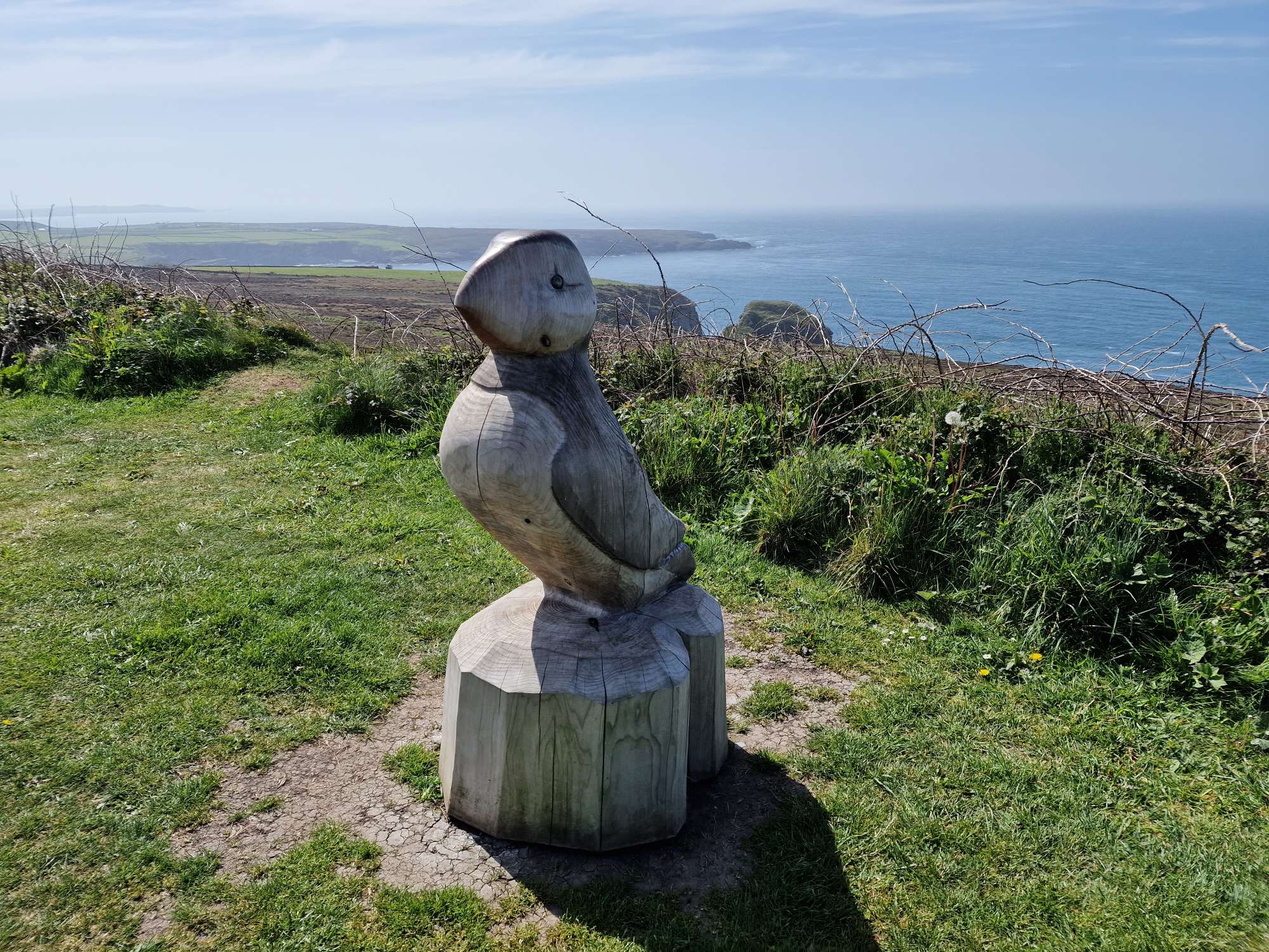 A large Puffin carving at RSPB South Stack